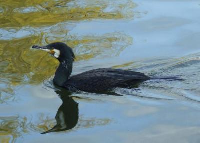 Прикрепленное изображение: 002-2.jpg